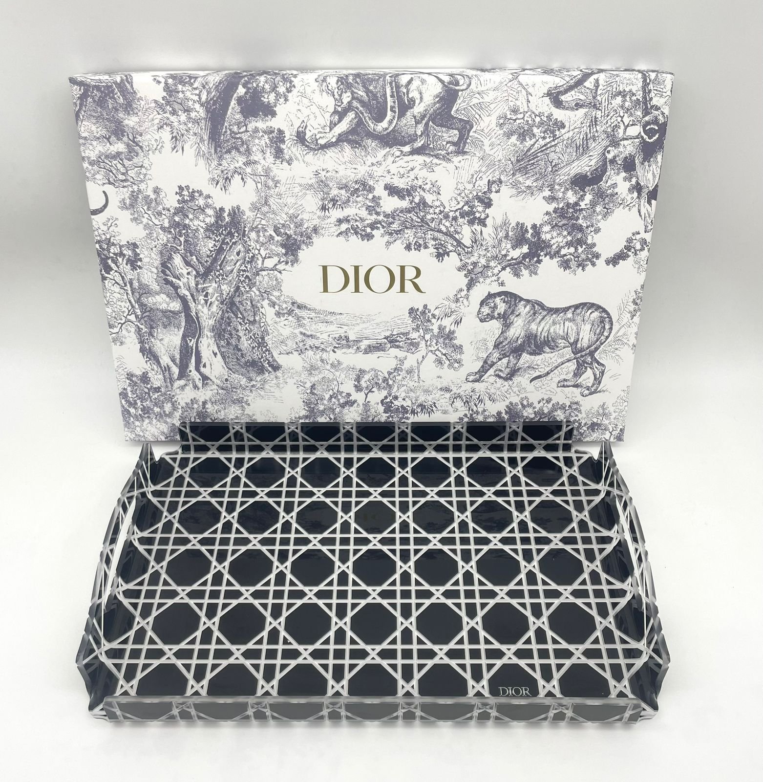 small size Tray - Dior Tray | Buy Online in UAE